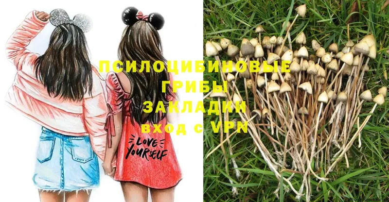 Галлюциногенные грибы MAGIC MUSHROOMS  Тобольск 