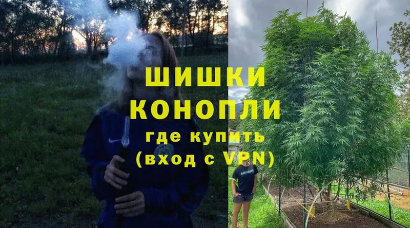 цена   Тобольск  Конопля Bruce Banner 